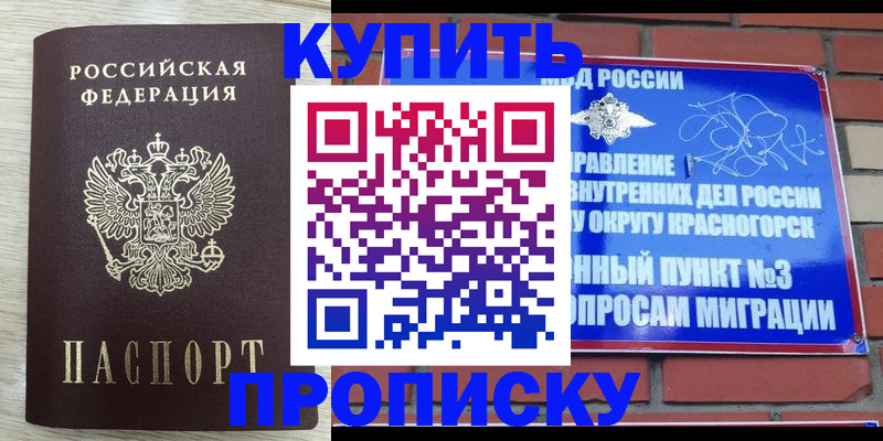 прописка гарантия в Старой Руссе
